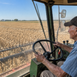 Óscar deixou de trabalhar aos 97 anos após 85 anos como agricultor e guarda boas memórias do seu percurso: “No verão dormia debaixo da ceifeira”