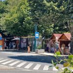 Artechique junta artesãos, gastronomia e acordeonistas em Monchique