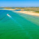 Festival de natureza percorre Loulé, Faro, Olhão, Tavira e Vila Real de Santo António