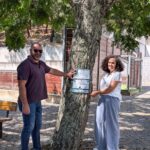 Campanha europeia destaca importância ecológica das árvores da serra de Monchique