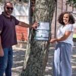 Campanha europeia destaca importância ecológica das árvores da serra de Monchique