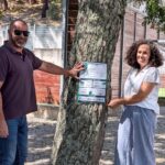Campanha europeia destaca importância ecológica das árvores da serra de Monchique