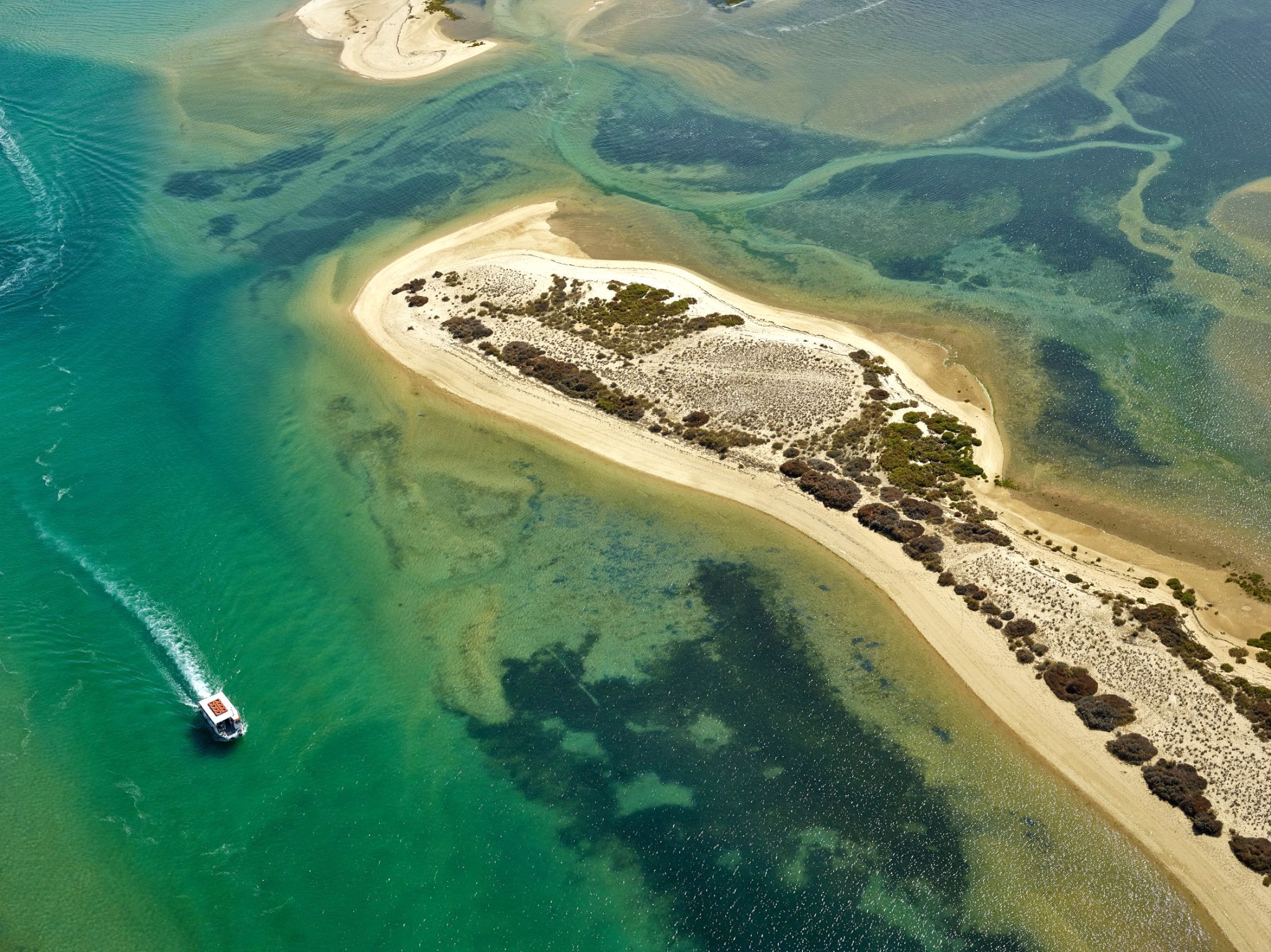 Passeio de barco na Ria Formosa. Crédito: Hélio Ramos