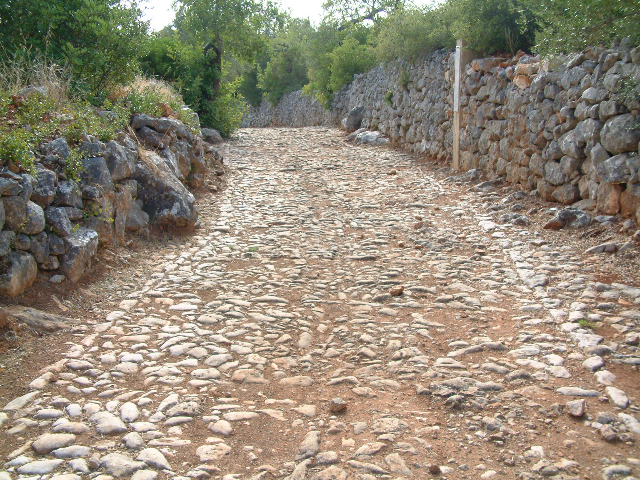 Calçadinha em São Brás de Alportel. Crédito: CMSBA