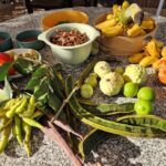 Pomar dos Sabores testa em Luz de Tavira que frutos poderão crescer no Algarve do futuro