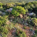 Tavira promove valorização ambiental e paisagística dos Barrocais de Santa Catarina