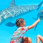 Residentes no Algarve podem visitar Zoomarine com preços reduzidos