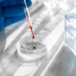 Loulé associa-se a campanha nacional de sensibilização para os cancros do sangue