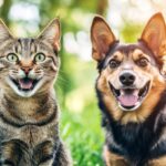 Tavira celebra Dia Mundial do Animal com Dia Aberto e adoção responsável