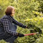 Proprietários cortaram estas plantas no seu terreno e acabaram multados em 100.000€