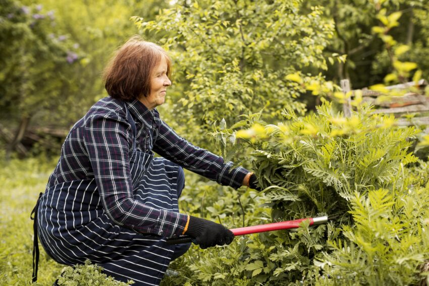 Mulher a cortar plantas