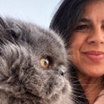 Líder do PAN falta a debate com o primeiro-ministro por doença do gato Mikas: ” Vi-me forçada a faltar pela primeira vez”