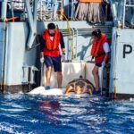 Tartaruga-marinha Molly regressa ao oceano no Algarve após 20 anos sob cuidados humanos