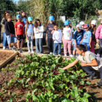Mais de 220 crianças de Albufeira aprendem a proteger a natureza com bombas de sementes